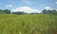 P1180946 (2)