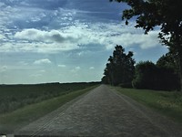 IMG-5497 (002)