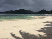 IMG_5806