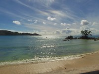 P1190649 (2)