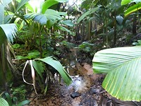 P1190664 (2)