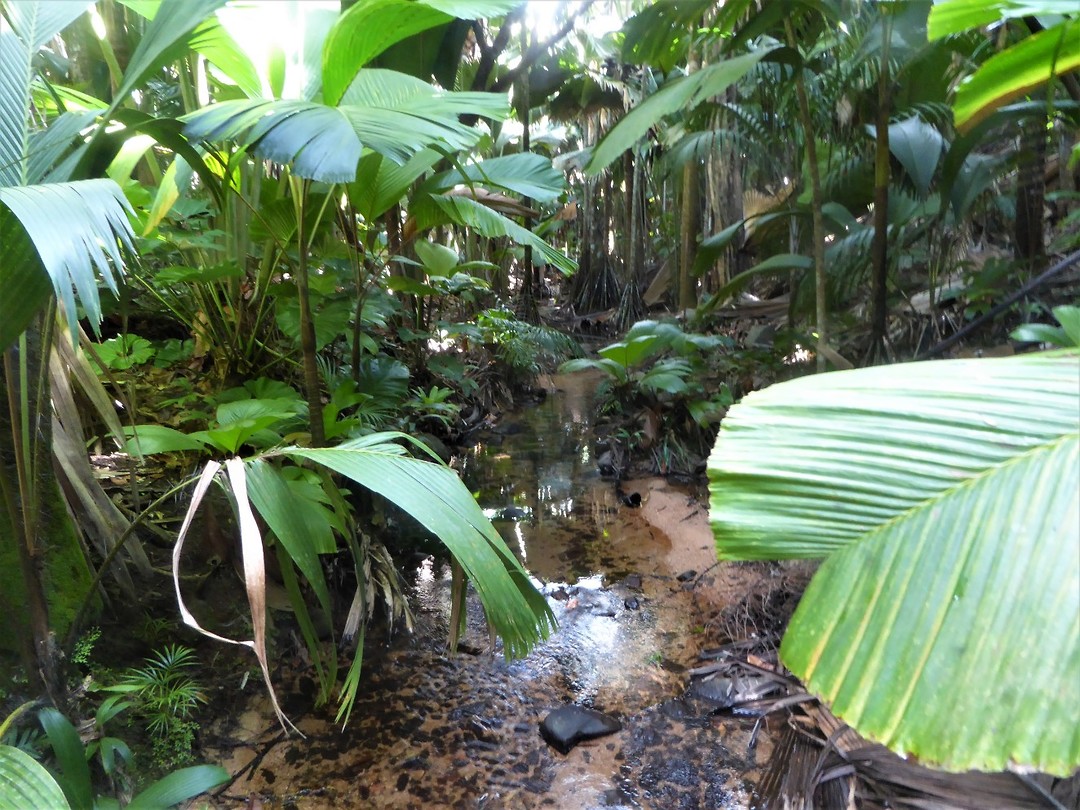 P1190664 (2)