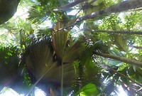 P1190670 (2)