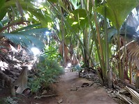 P1190674 (2)