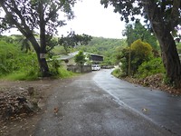 P1190717