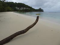 P1190719