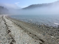 IMG-6218