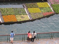 Japan eo juni juli  2009 1321