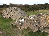 IMG-7305