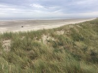IMG-7318