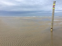 IMG-7332