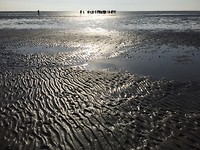 IMG-7365