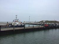 IMG-7449