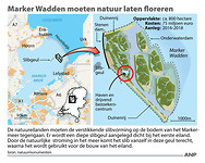 IMG-7481