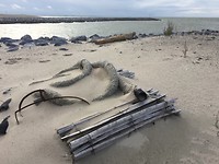IMG-7493