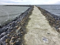 IMG-7494