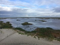 IMG-7509