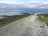 IMG-7515