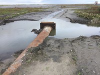 IMG-7530
