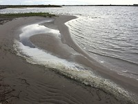 IMG-7569