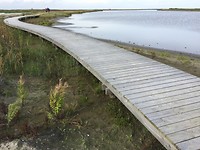 IMG-7582