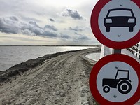 IMG-7589