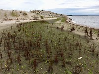 IMG-7565