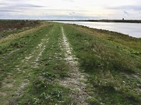 IMG-7578