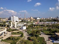 IMG_3763(1)