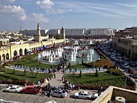 IMG_3767(1)