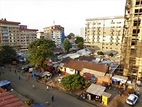 P1210568 (2)