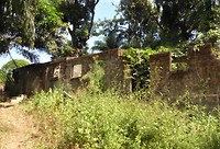 P1210710 (2)