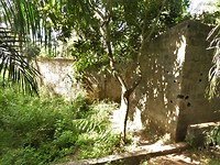 P1210711 (2)