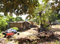 P1210724 (2)