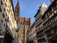 IMG_8448