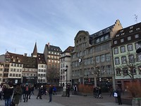 IMG_8455