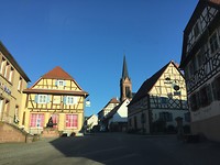 IMG_8472