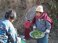 DSC05022