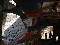 DSC05048