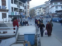 DSC05101