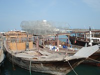 DSC05947
