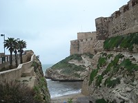 DSC06134