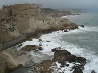 DSC06151