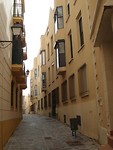 DSC06203