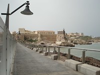 DSC06206