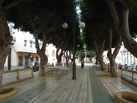 DSC06218