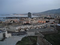 DSC06258 (2)