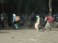 DSC06295