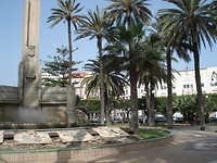 DSC06323