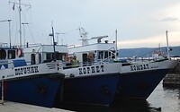 DSC08882 (2)
